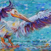 8. White Pelican Splendid Landing 48x24