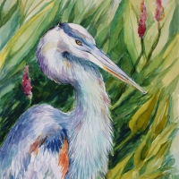 Great Blue Heron 14''x20'' watercolor