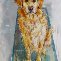 Waiting for Treat 14''x20'' Watercolor—SOLD