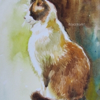 The Brown Cat 9''x12'' watercolor—SOLD